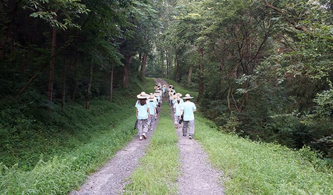 Templestay Korea: Bongsunsa Temple (Half Day)