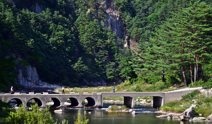 Gyeongbuk Bonghwa Sepyeong Sky Walk Trekking Tour from Seoul