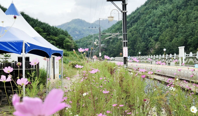 Gyeongbuk Bonghwa Sepyeong Sky Walk Trekking Tour from Seoul