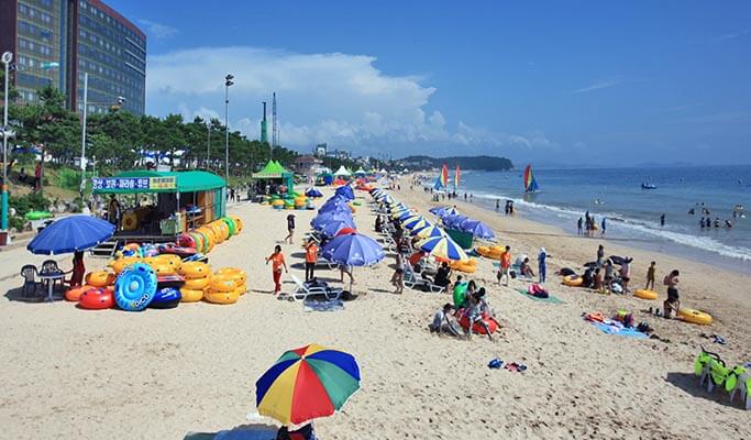 Summer Beach Fun: Boryeong Daecheon Beach (+ Zip Trek option) 1 Day Tour