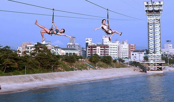 Summer Beach Fun: Boryeong Daecheon Beach (+ Zip Trek option) 1 Day Tour