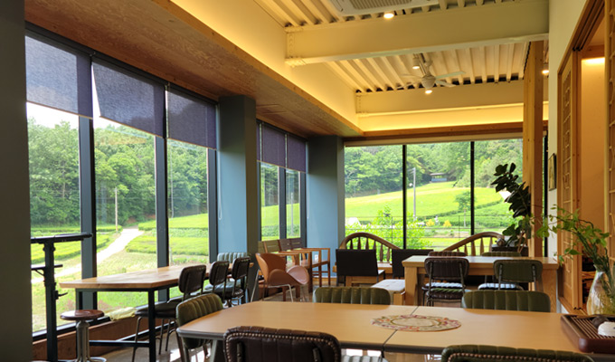 [UNESCO World Heritage] Boseong Getbol (Tidal Flat) Tour from Seoul