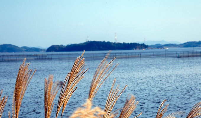 [UNESCO World Heritage] Boseong Getbol (Tidal Flat) Tour from Seoul