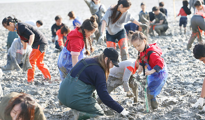 [UNESCO World Heritage] Boseong Getbol (Tidal Flat) Tour from Seoul