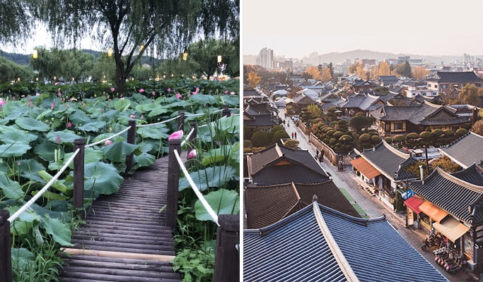 夏季限定：扶餘書洞荷花節＆全州韓屋村一日遊