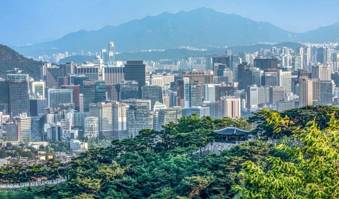 Seoul Night View Small Group Half Day Tour with Gwangjang Market Visit