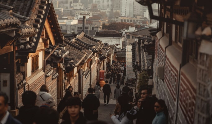 Seoul City Tour for Vegetarians & Muslims