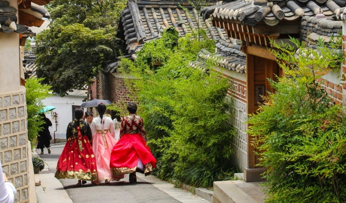 Seoul City Tour for Vegetarians & Muslims