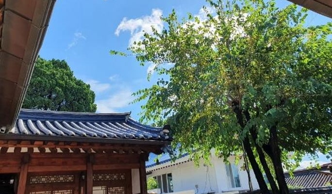 Bukchon Hanok Village Walking Tour