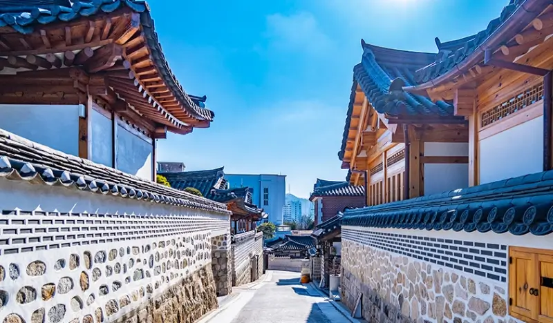 Seoul Private 1 Day Tour: N Seoul Tower + Gyeongbokgung Palace + Bukchon Hanok Village (+ The Painters Show option) - view 1