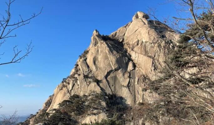 [Trazy Local Host] Bukhansan National Park (Baegundae Peak) Winter Hiking Tour