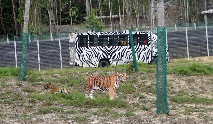 Bukit Gambang Resort City: Safari Park Ticket