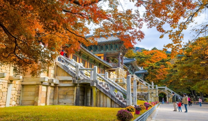 Gyeongju Instagram Spots 1 Day Tour from Busan
