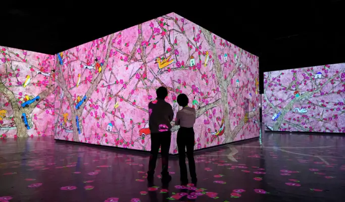 Bunker des Lumières in Jeju Discount Ticket