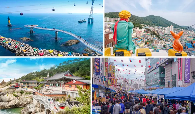 Explore 9 Busan Highlights in 1 Day (+ Beach Train/ Sky Capsule option)