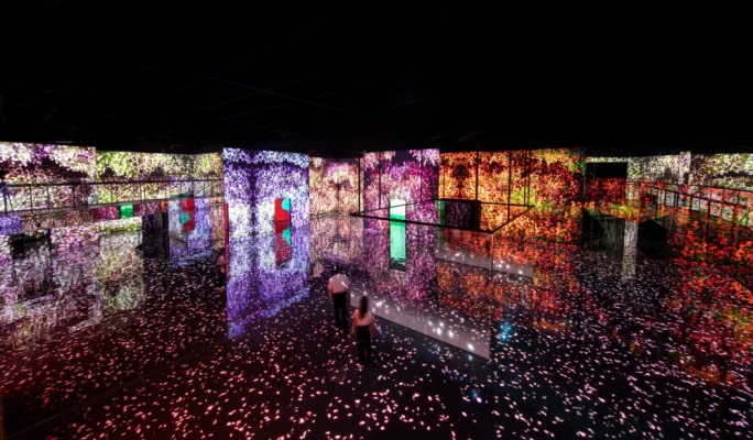 Busan Arte Museum Ticket