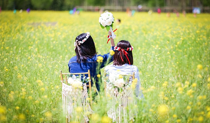 Spring Special: Busan Daejeo Ecological Park Canola Flower Festival + Janglim Harbor + Huinnyeoul Cultural Village (Morning/Afternoon) Tour - From Busan (Apr 2~18)