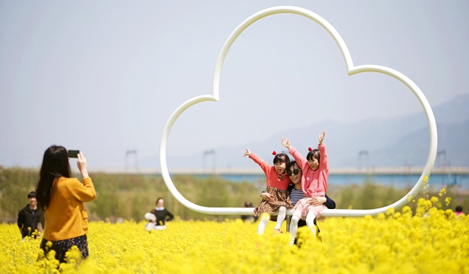 Spring Special: Busan Daejeo Ecological Park Canola Flower Festival + Janglim Harbor + Huinnyeoul Cultural Village (Morning/Afternoon) Tour - From Busan (Apr 2~18)
