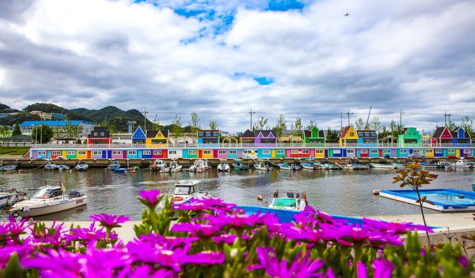 Spring Special: Busan Daejeo Ecological Park Canola Flower Festival + Janglim Harbor + Huinnyeoul Cultural Village (Morning/Afternoon) Tour - From Busan (Apr 2~18)