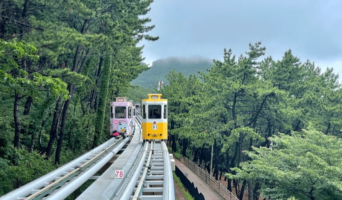 2024 New Year's Eve Sunset Tour from Busan (Dec 31)