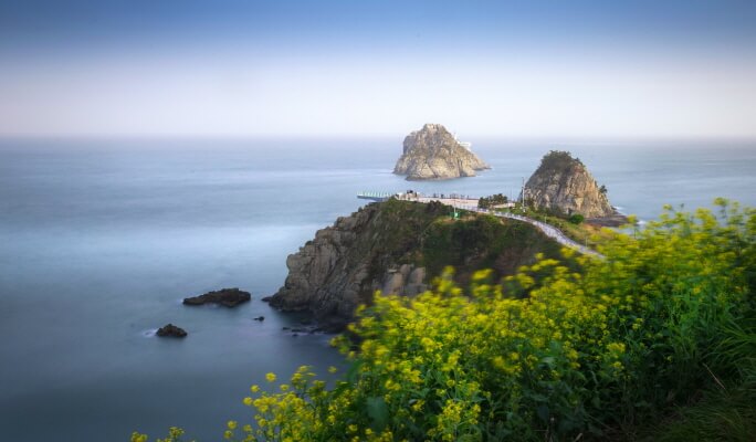 Busan Day & Night Full Day Group Tour