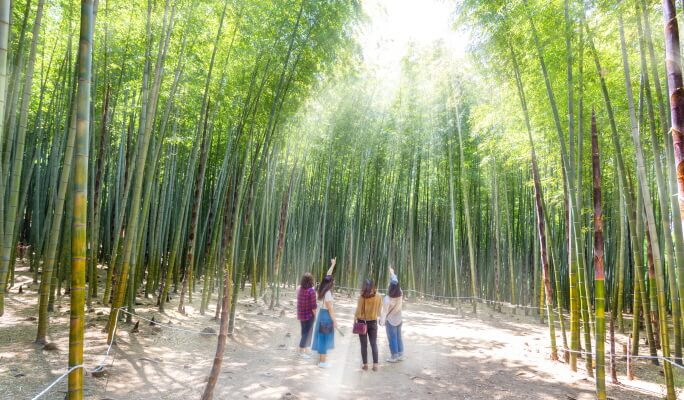 Busan Day & Night Full Day Group Tour