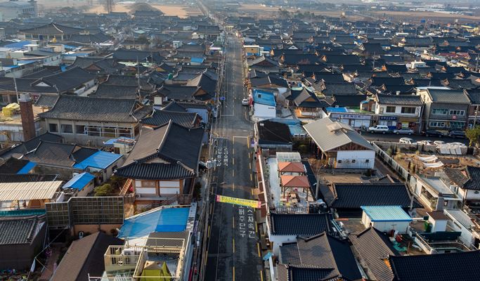 Spring Special: Busan & Gyeongju King Cherry Blossom 1 Day Tour - from Busan (Apr 11~25)