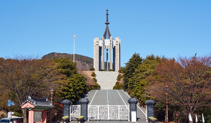 Spring Special: Busan & Gyeongju King Cherry Blossom 1 Day Tour - from Busan (Apr 11~25)