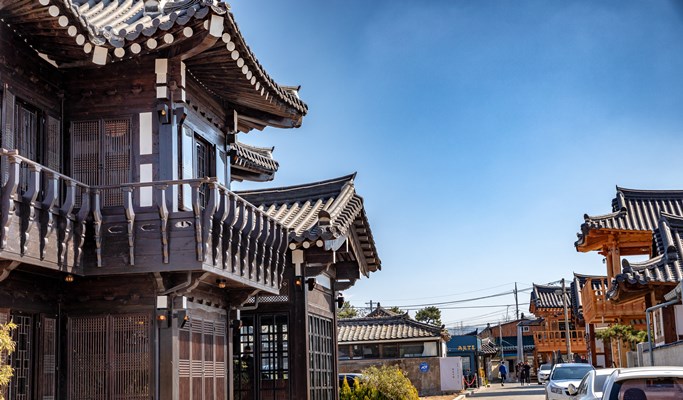 Spring Special: Busan & Gyeongju King Cherry Blossom 1 Day Tour - from Busan (Apr 11~25)