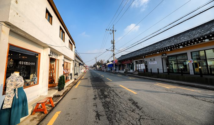 Spring Special: Busan & Gyeongju King Cherry Blossom 1 Day Tour - from Busan (Apr 11~25)