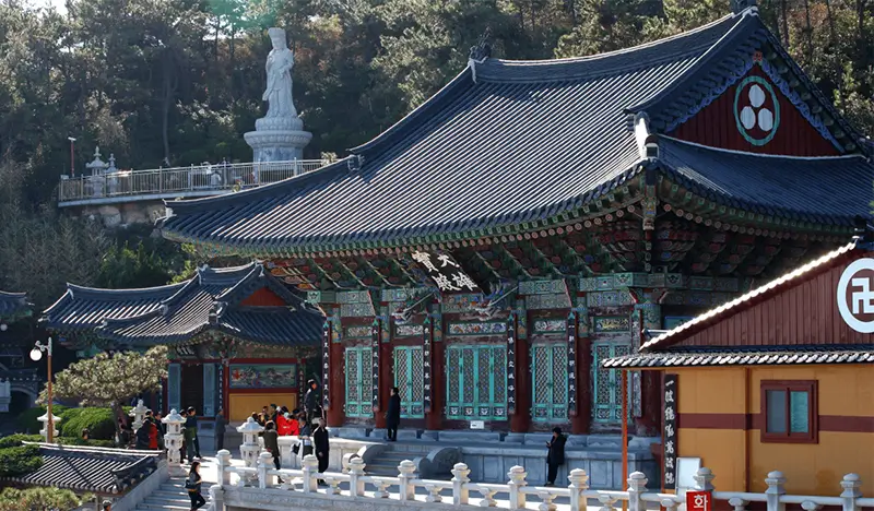 Busan Local 1 Day Tour: Haedong Younggungsa Temple + Yeongdo Bridge + Fishing & Haenyeo Village Experience & More - view 1