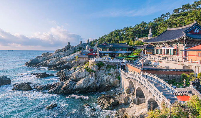 Busan Highlights: Must-Visit Photo Spots 1 Day Tour
