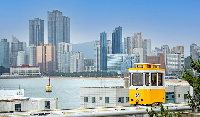 Busan Highlights: Must-Visit Photo Spots 1 Day Tour