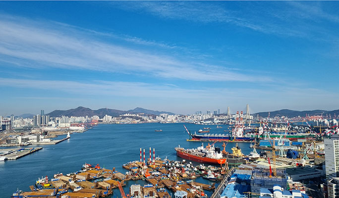 Busan Highlights: Must-Visit Photo Spots 1 Day Tour