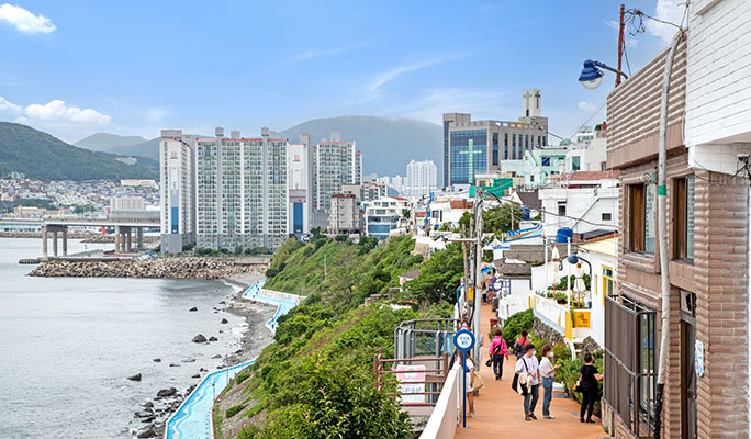 Busan Highlights: Must-Visit Photo Spots 1 Day Tour