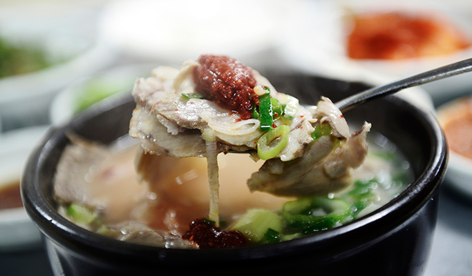 Korean History & Busan Gourmet Virtual Tour (Live Commentary)