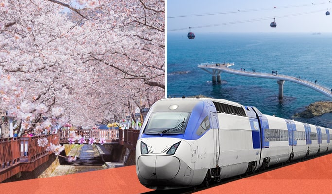 Spring Special: 2D1N Busan & Jinhae Tour Package from Seoul (Round-trip KTX tickets included) (Mar 28~Apr 5)