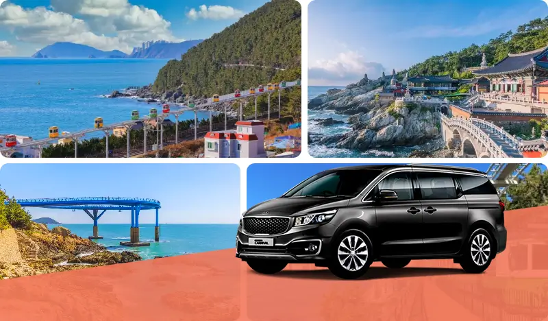 Busan 1 Day Private Van Tour with Local Guide - Trazy, Korea's #1 ...