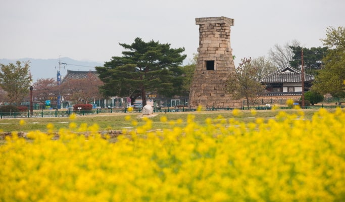 春季特惠：藍線公園天空膠囊＆櫻花一日遊（釜山↔週邊地區，3月25日~4月11日）