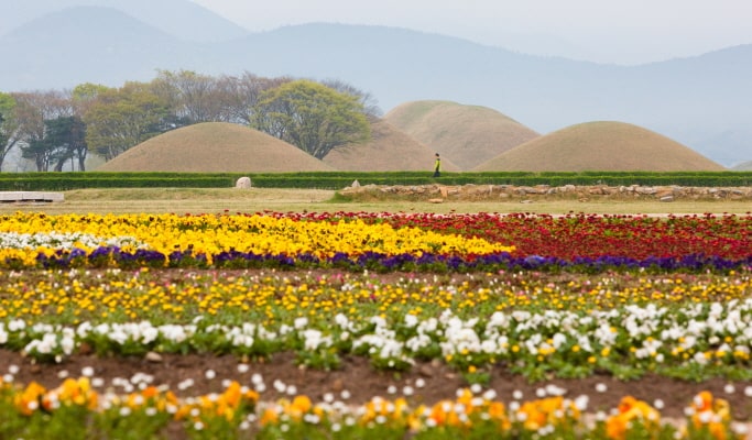 春季特惠：藍線公園天空膠囊＆櫻花一日遊（釜山↔週邊地區，3月25日~4月11日）