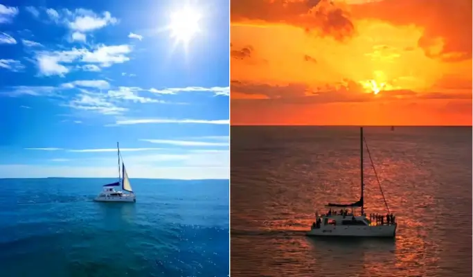 Romantic Yacht Tour in Busan (Public or Private Options)