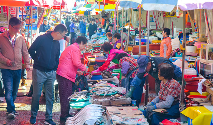 Korean Seafood & Busan's Biggest Seafood Market Virtual Tour (Live Commentary)