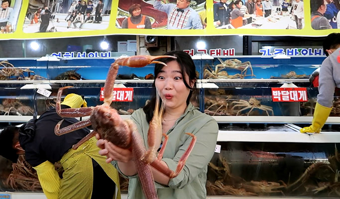 Korean Seafood & Busan's Biggest Seafood Market Virtual Tour (Live Commentary)