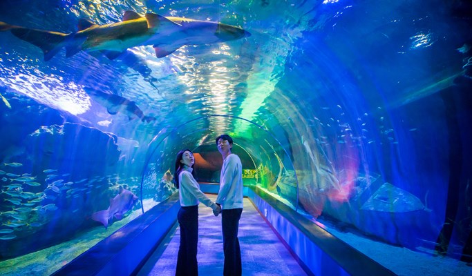 Sea Life Busan Aquarium Discount Ticket - Trazy, Korea's #1 Travel Guide