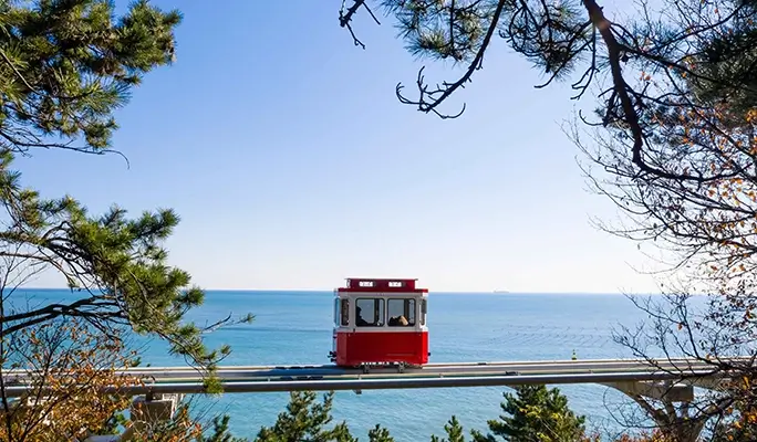 Busan Haeundae Sky Capsule & East/ West Night View 1 Day Tour