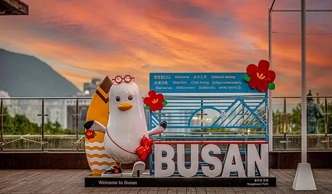 Busan Highlights: Must-Visit Photo Spots 1 Day Tour