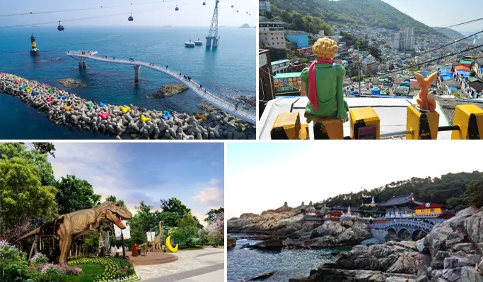 Busan City Small Group Tour