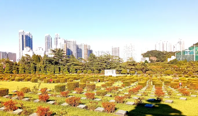 Busan Small Group Tour: Haeundae Blueline Park + Haedong Yonggungsa Temple + Songdo Skywalk & more