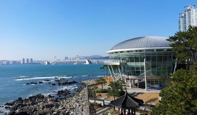 Private 1 Day Cruise Shore Excursion Tour in Busan