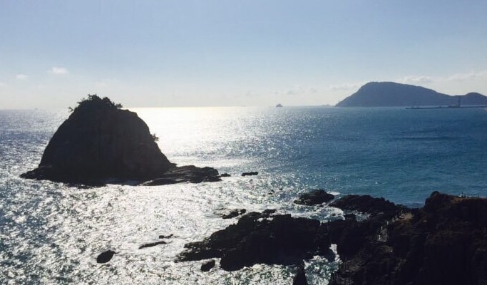 Private 1 Day Cruise Shore Excursion Tour in Busan